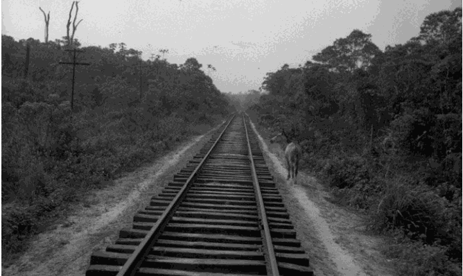 LA CONQUISTA DE LA SELVA. EL FERROCARRIL DEL SURESTE