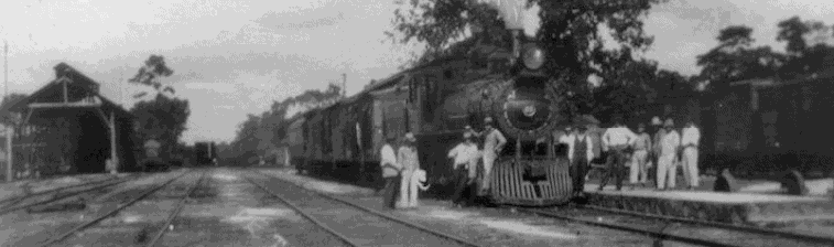 NUEVO FERROCARRIL PANAMERICANO